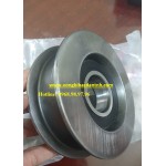 BEARING CG310 2RSPX9